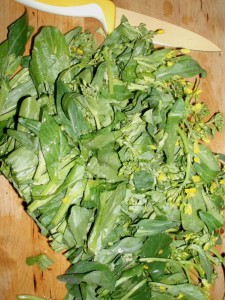 Yu Choy from Yang Farms