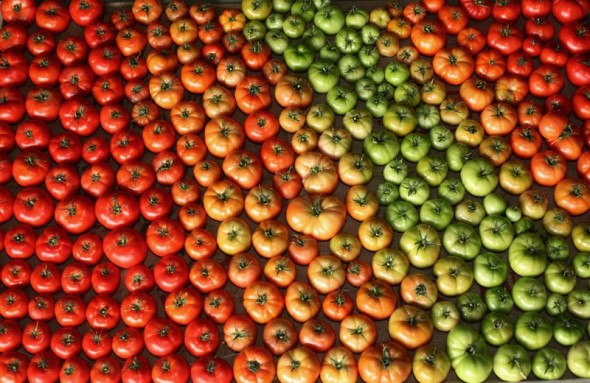 So colorful. Photo by Urban Agrarian. 